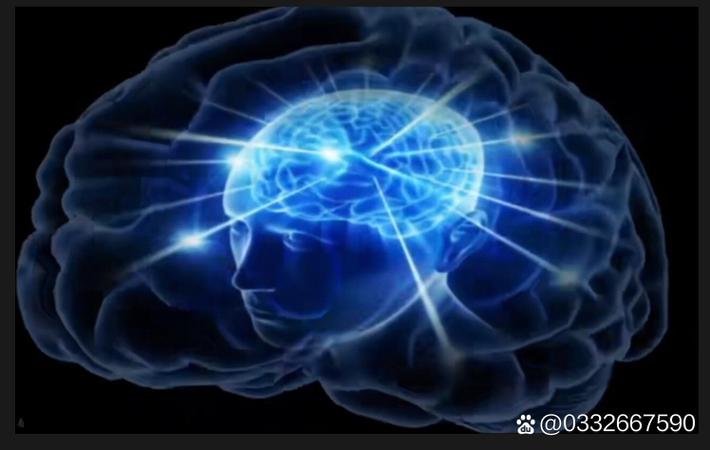 某女星豪宅曝光：室内陈设奢华，网友直呼"这才是真正的顶流"